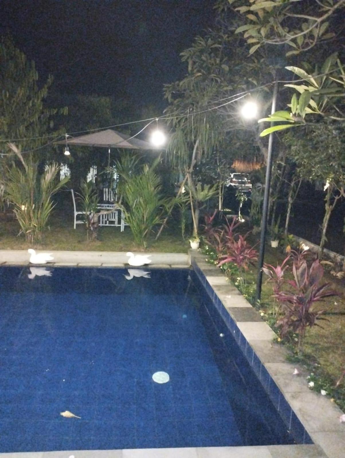 Puri Amartha Appartement Ubud Buitenkant foto