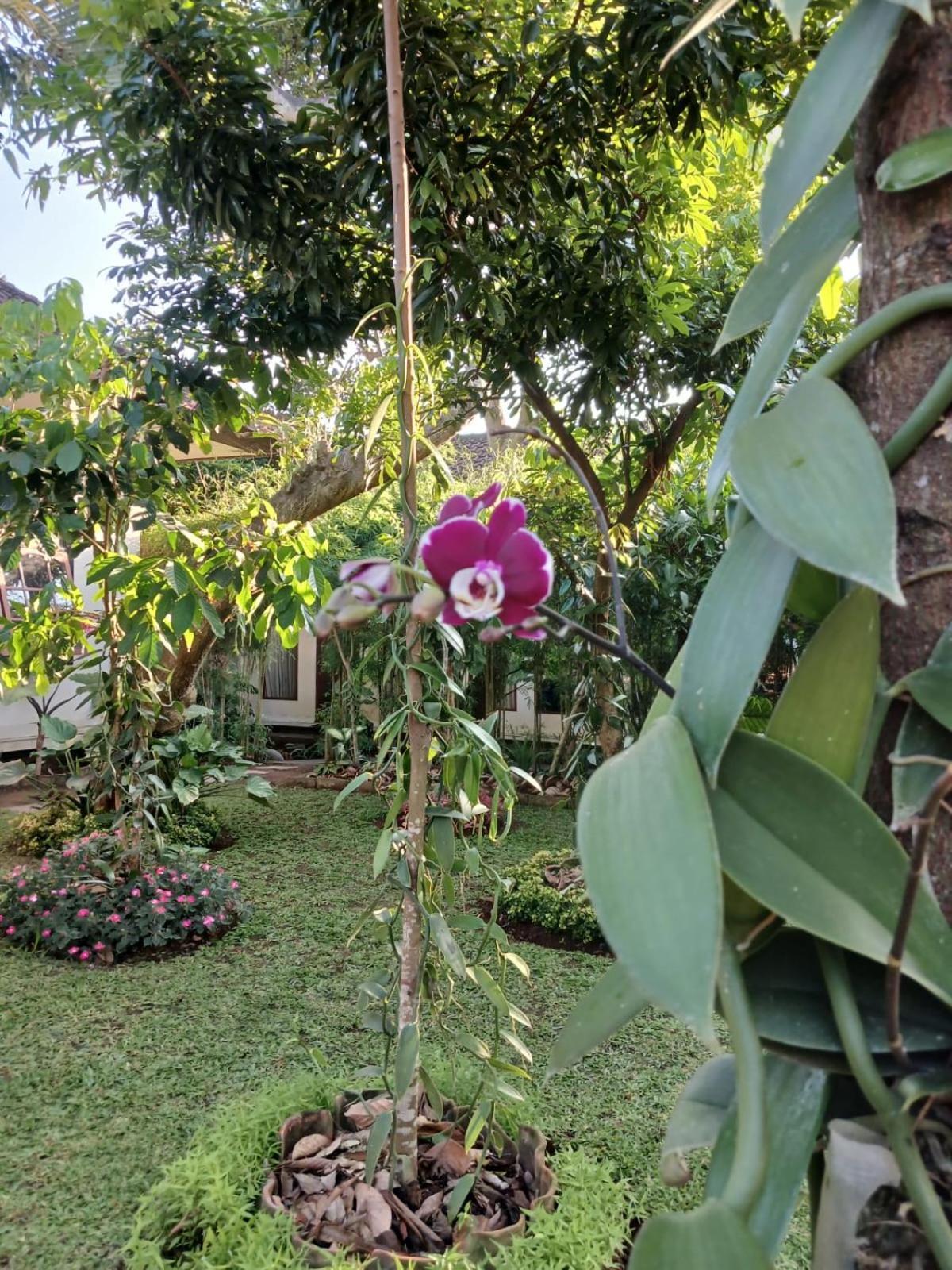 Puri Amartha Appartement Ubud Buitenkant foto