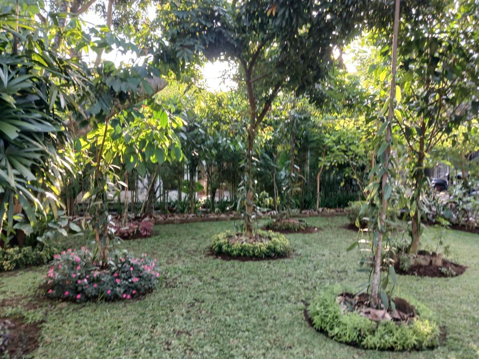 Puri Amartha Appartement Ubud Buitenkant foto